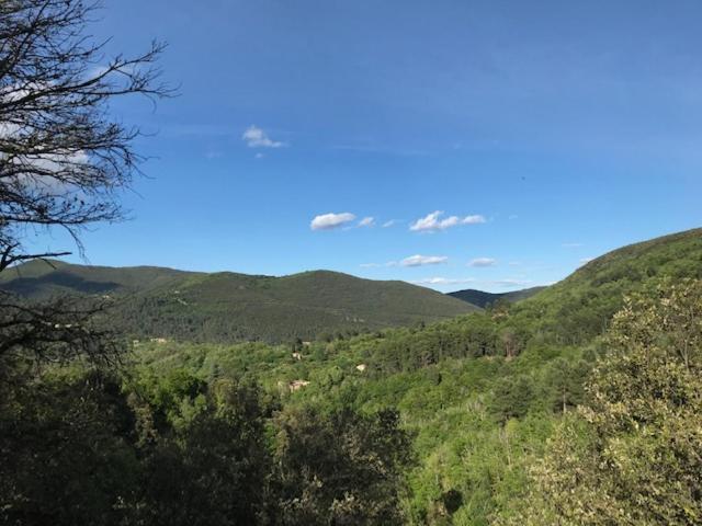 Suite Bambou Bien-Etre A Bali - Le Soleil Des Cevennes Saint-Jean-du-Gard Kültér fotó