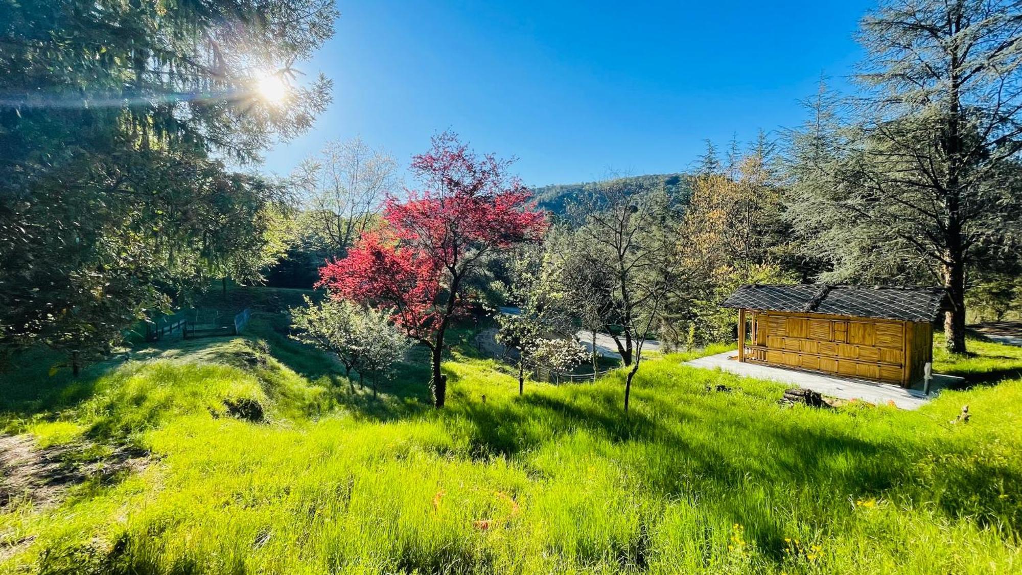 Suite Bambou Bien-Etre A Bali - Le Soleil Des Cevennes Saint-Jean-du-Gard Kültér fotó