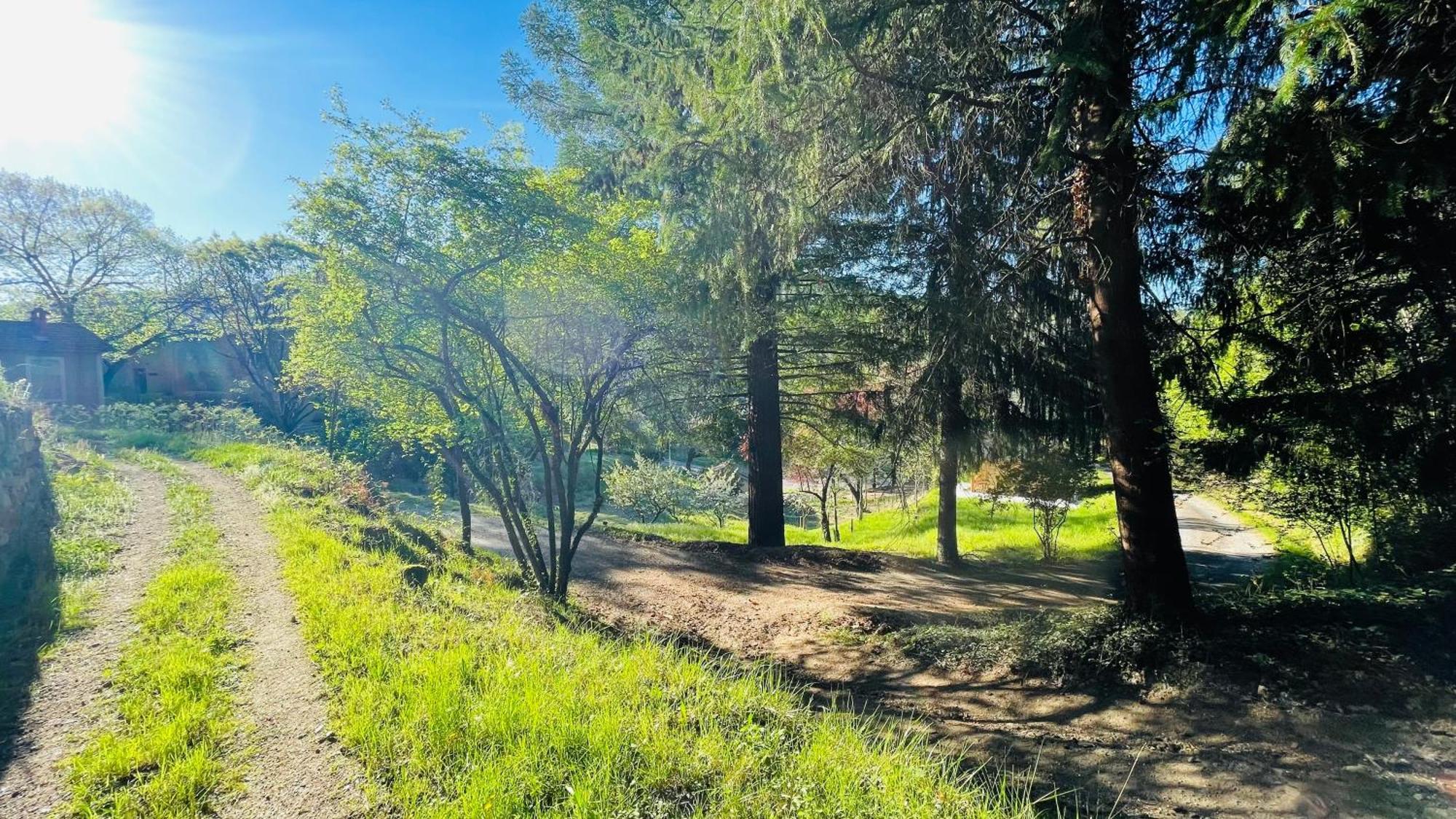 Suite Bambou Bien-Etre A Bali - Le Soleil Des Cevennes Saint-Jean-du-Gard Kültér fotó