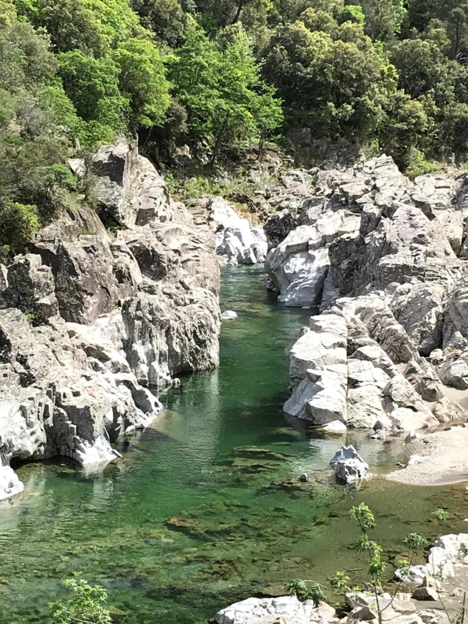 Suite Bambou Bien-Etre A Bali - Le Soleil Des Cevennes Saint-Jean-du-Gard Kültér fotó